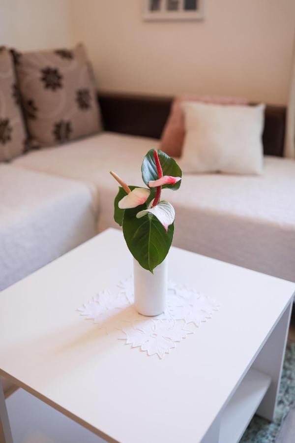 Apartmán Rita Zadar